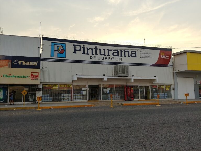 6114 pinturama de obregon 768x576