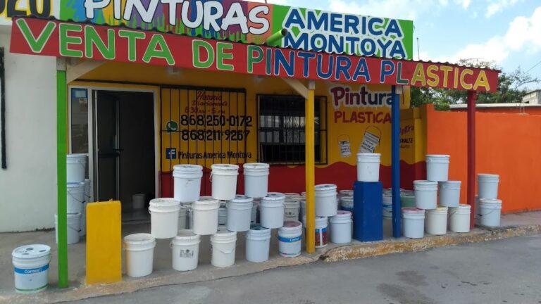 6145 pinturas america montoya 768x432