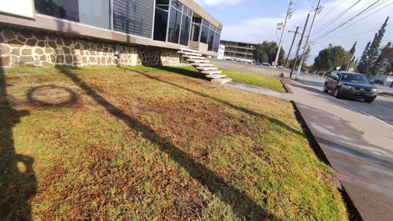 6318 contrissa 768x432