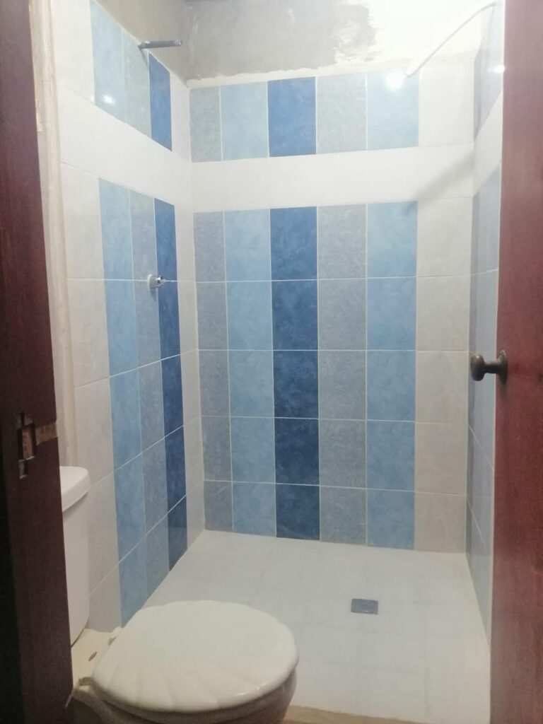 6537 albanil general 768x1024