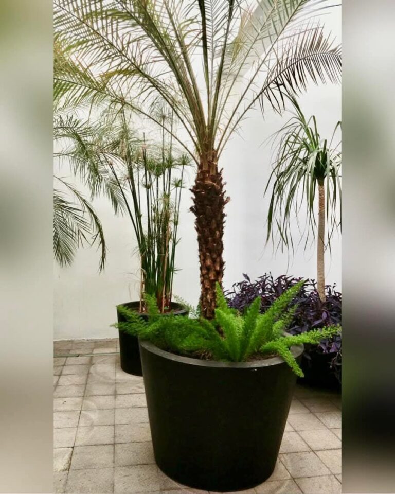 8030 8220viveros decogarden norte8221 768x960