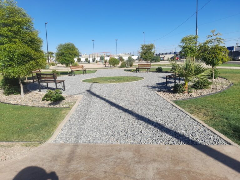 8048 progambi jardineria 768x576