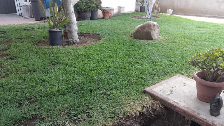 8055 jardineria rangel j.g.r 768x432