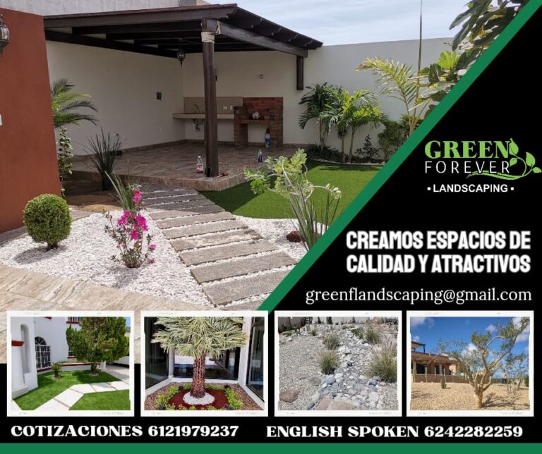 8065 diseno y construccion de jardines green forever 768x644