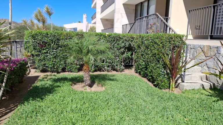 8072 jardineria los primos de los cabos 768x432