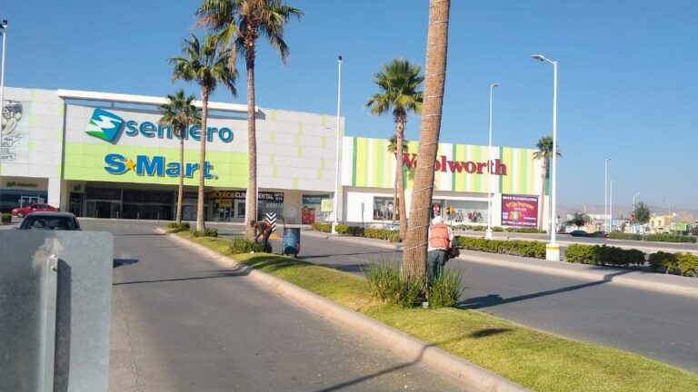 8113 alvarez jardineria chihuahua 768x432