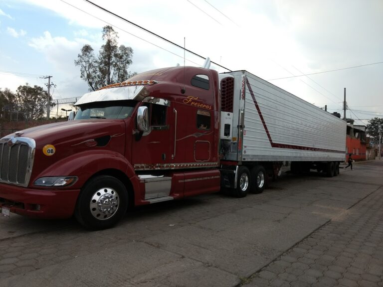 812 la paloma de zamora 768x576