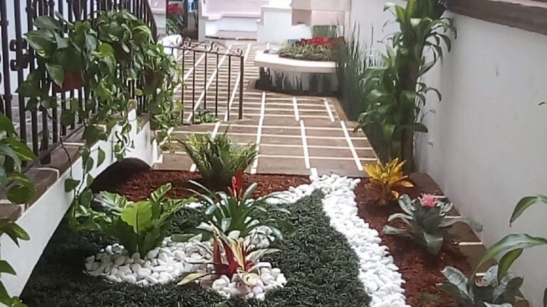 8126 jardineria gonzalez 768x432