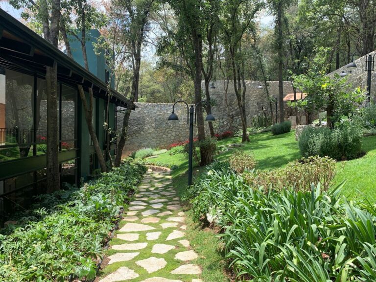8132 jardineros en pedregal 768x576