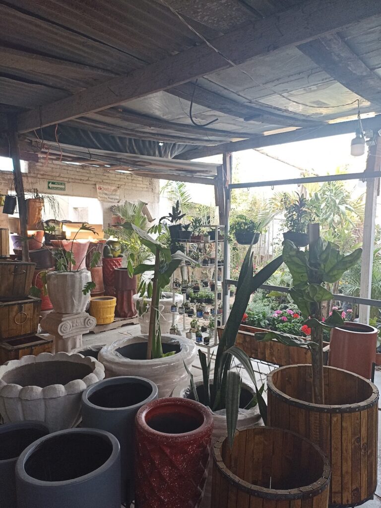 8194 la sra. de las plantas 768x1023