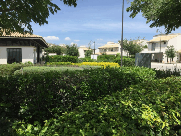 8200 jardineros y jardineria en leon 768x576