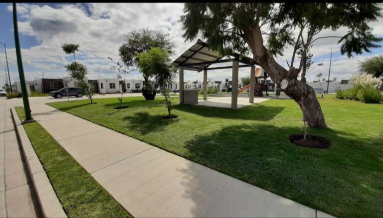 8208 jardineria zuleta 768x438