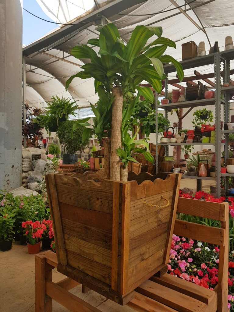 8210 vivero arte y jardin 768x1024