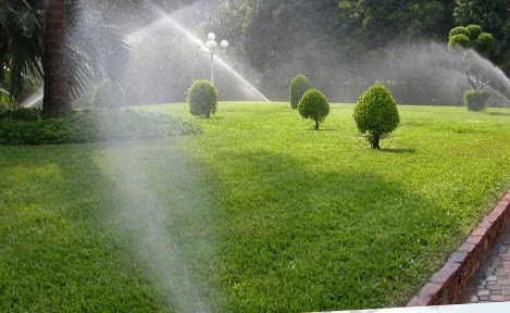 8218 jardineria residencial e industrial de leon