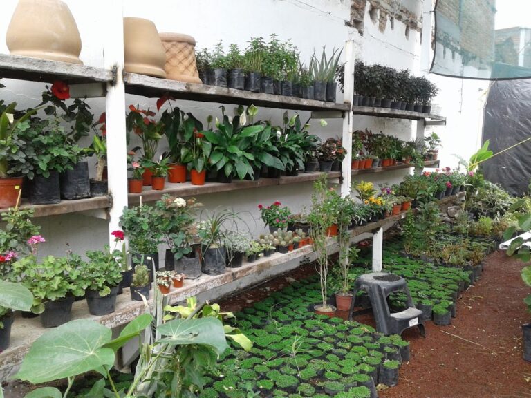 8224 casa jardin vivero 768x576