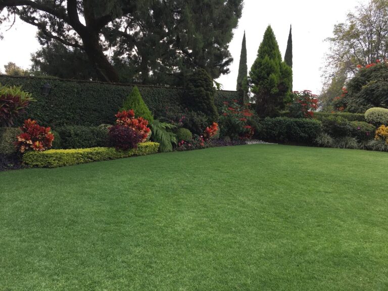 8324 eco casa y jardin 768x576