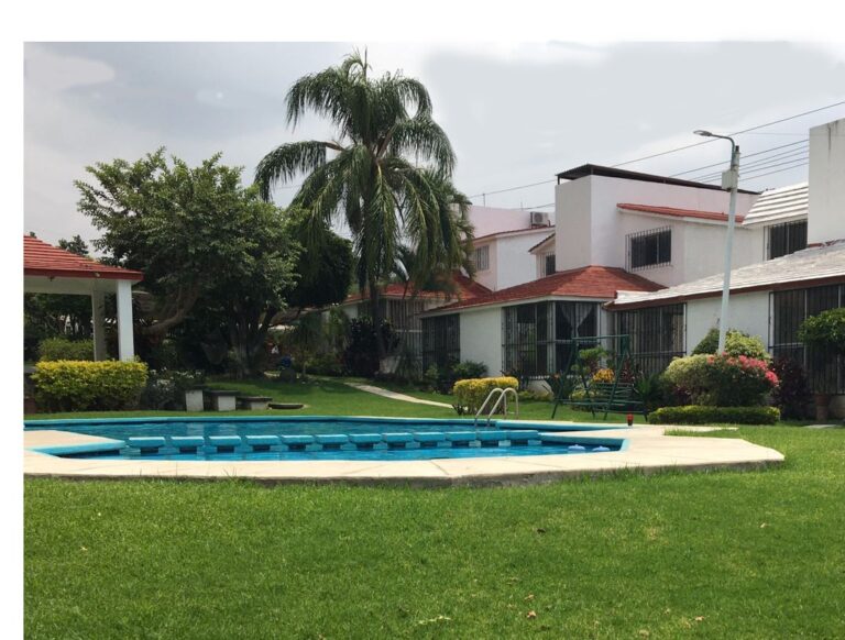 8329 gardening cuernavaca 768x582