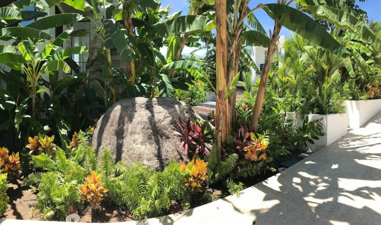 8349 vivero mi jardin 768x454