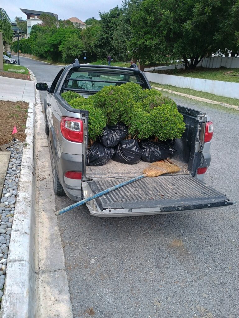 8357 fumigaciones tecnicas y jardineria sa de cv 768x1024