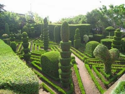 8360 jardineria abeja jardinera