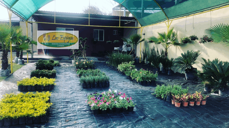 8379 las espigas paisajismo y vivero 768x432