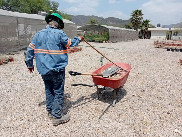 8444 hr jardineria y mantenimiento de areas verdes slp 768x576