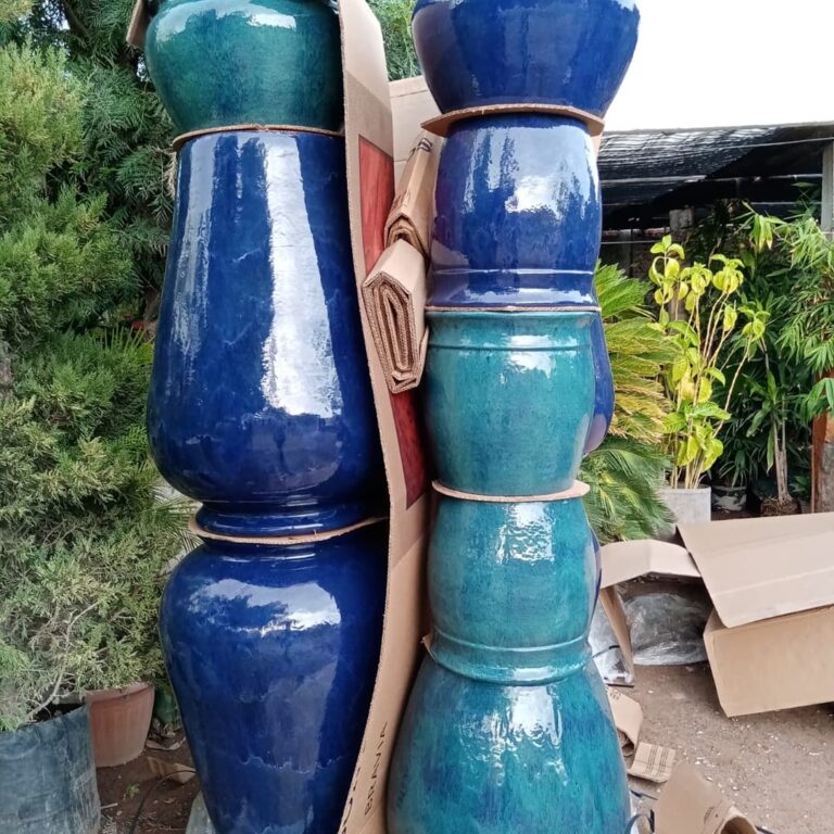 8489 vivero abelardo 768x768