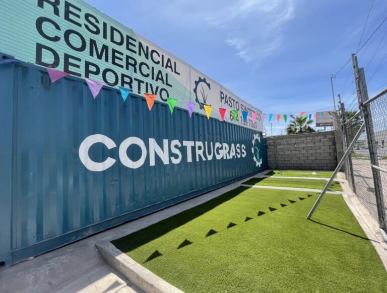 8491 construgrass 768x583