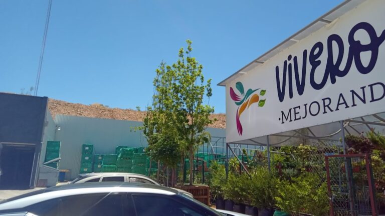 8499 vivero colibri 768x432