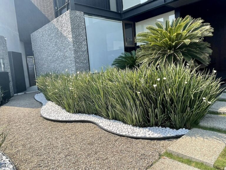 8501 evergreen jardineria 768x576