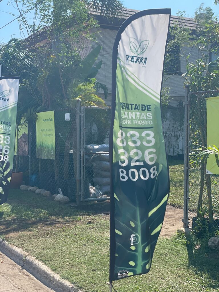 8503 viveros terra tampico 768x1024