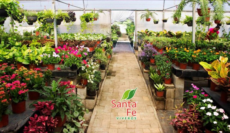 8505 santa fe viveros 768x445