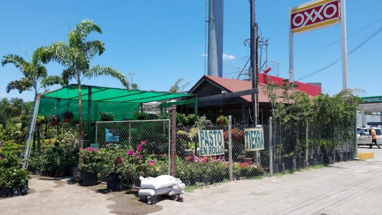 8524 vivero vista verde accion civica 768x432