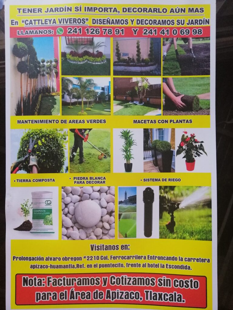 8538 jardineria vivero apizaco. diseno y decoracion 768x1024