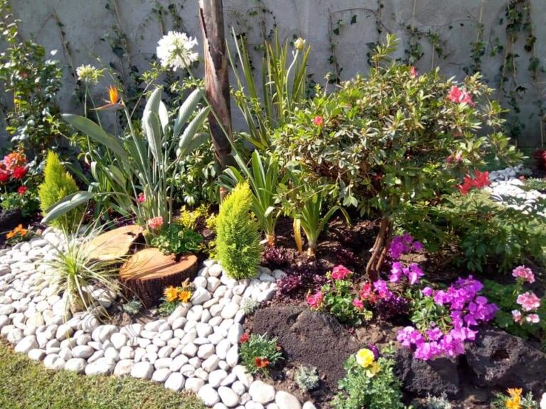 8540 8221 la nueva esperanza8221 768x576