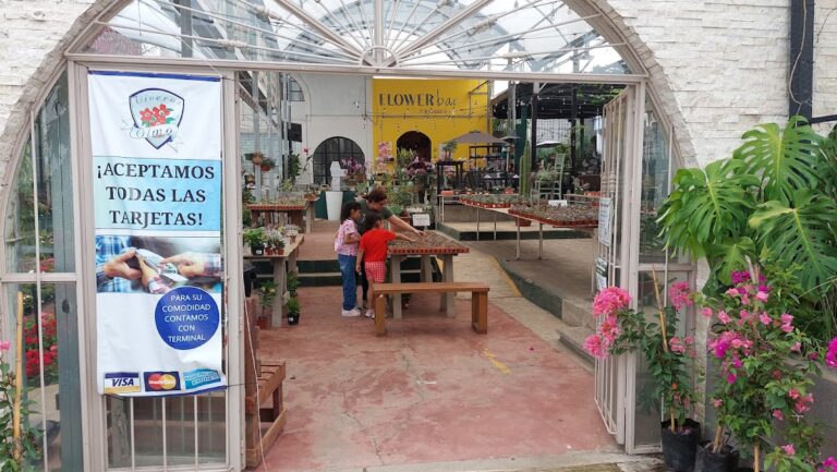 8546 viveros el olmo 768x433