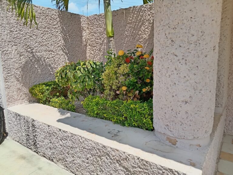 8583 la podadora hernandez 768x576