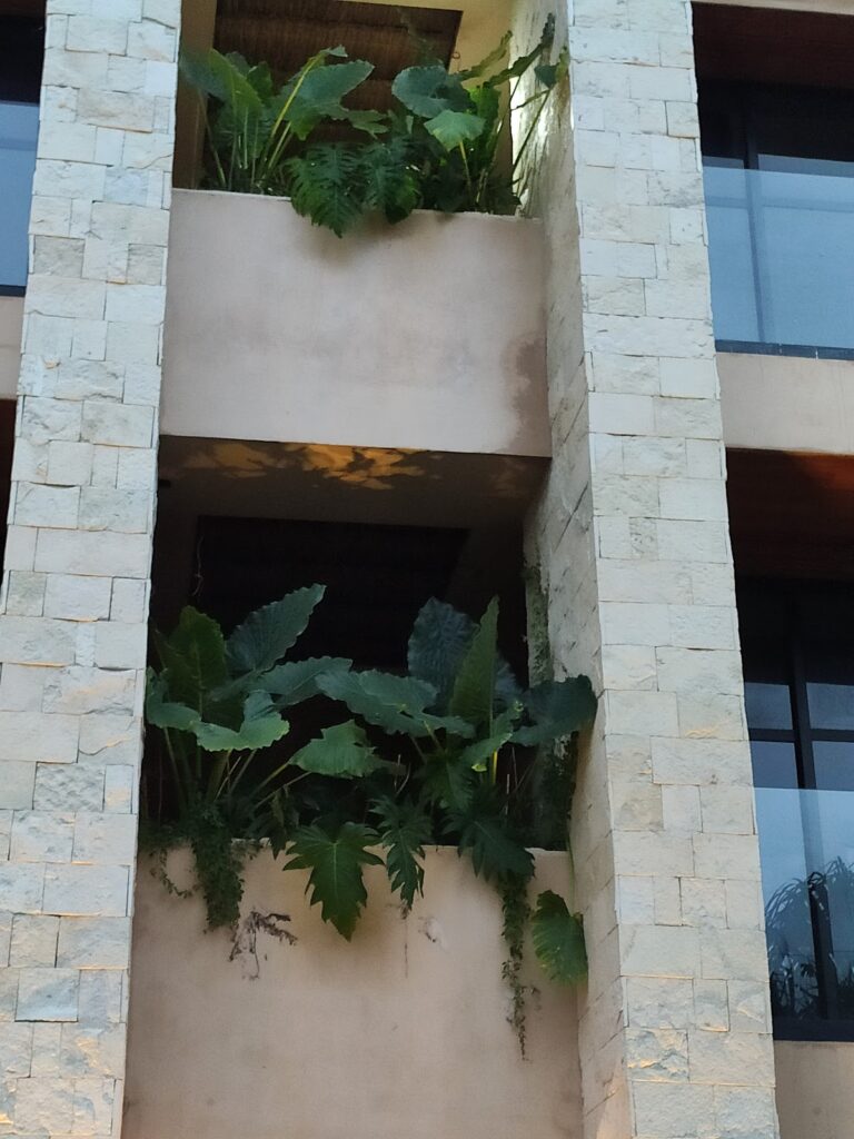 8593 vivero arki 768x1024