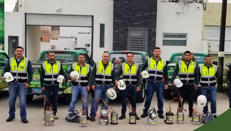 8612 rex fumigaciones 768x438