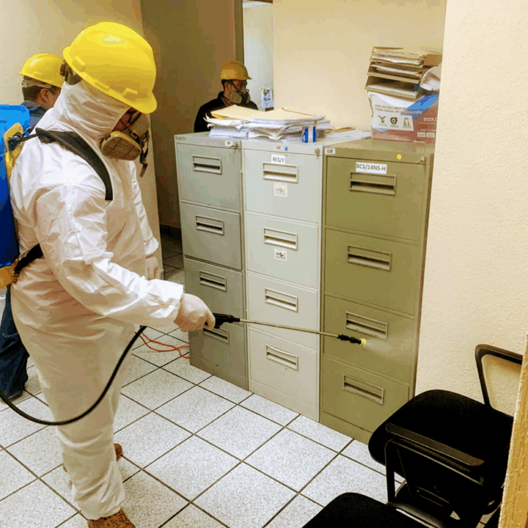 8642 villarreal control de plagas 768x768