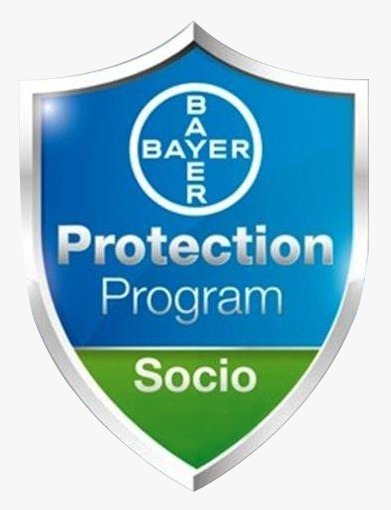 8653 eco fumigaciones