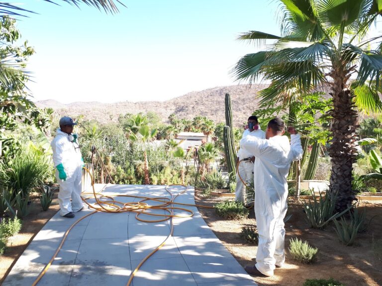 8655 control de plagas del pacifico 768x576