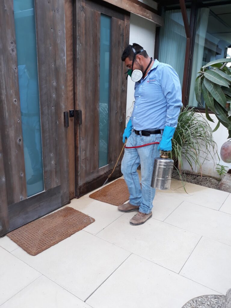 8660 jc fumigaciones 768x1024