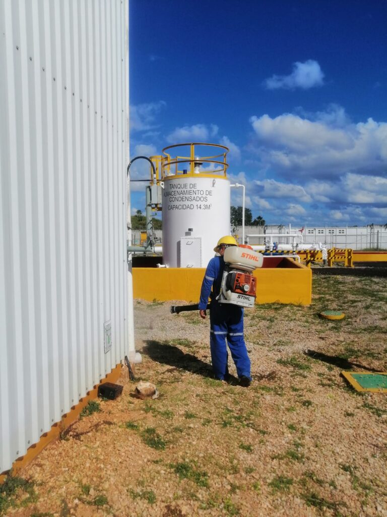 8670 fumisur 768x1024