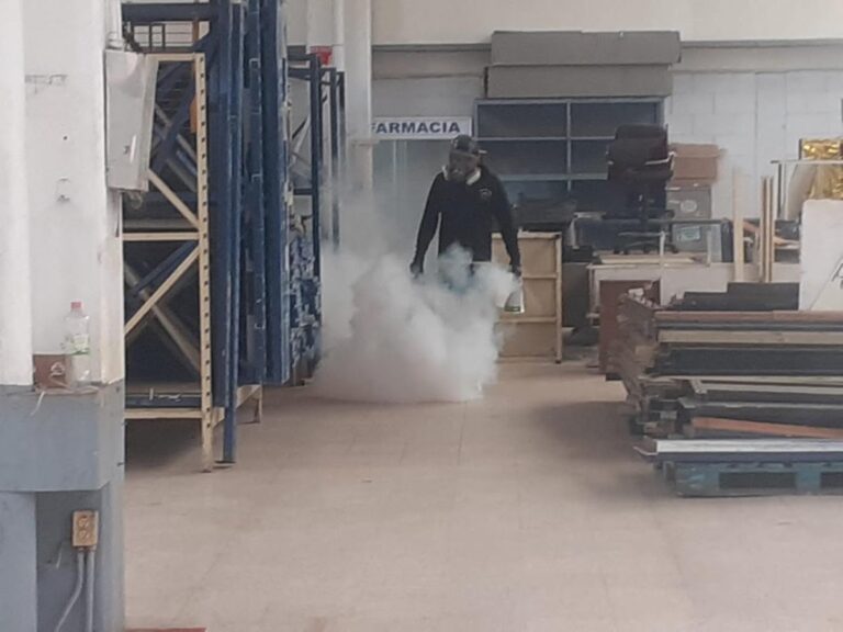 8723 fumigaciones y control de plagas cdmx y estado de mexico anti bichos 768x576