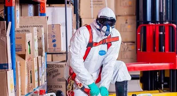 8725 fumigaciones fumiger