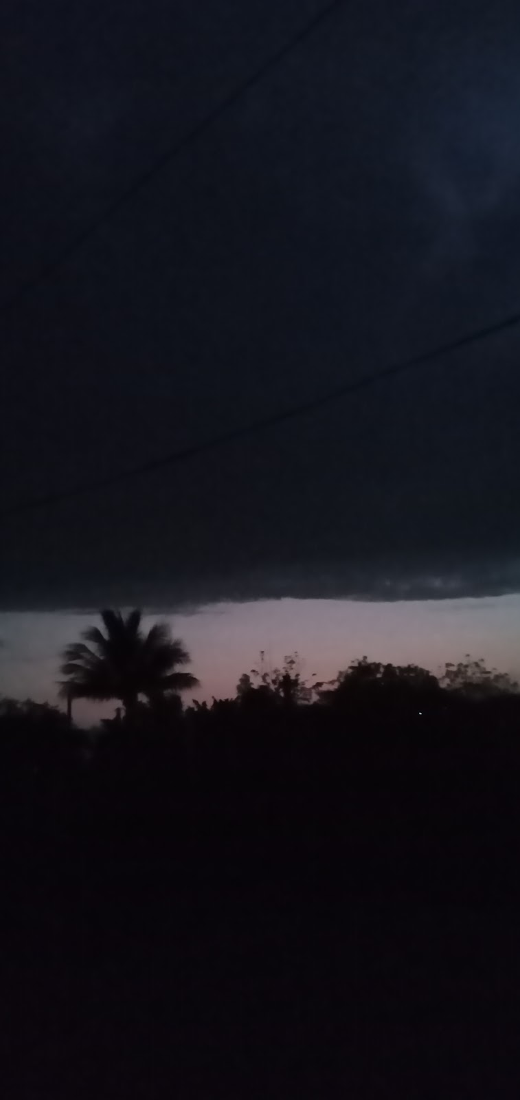 8782 fumigaciones aereas del valle de tecoman