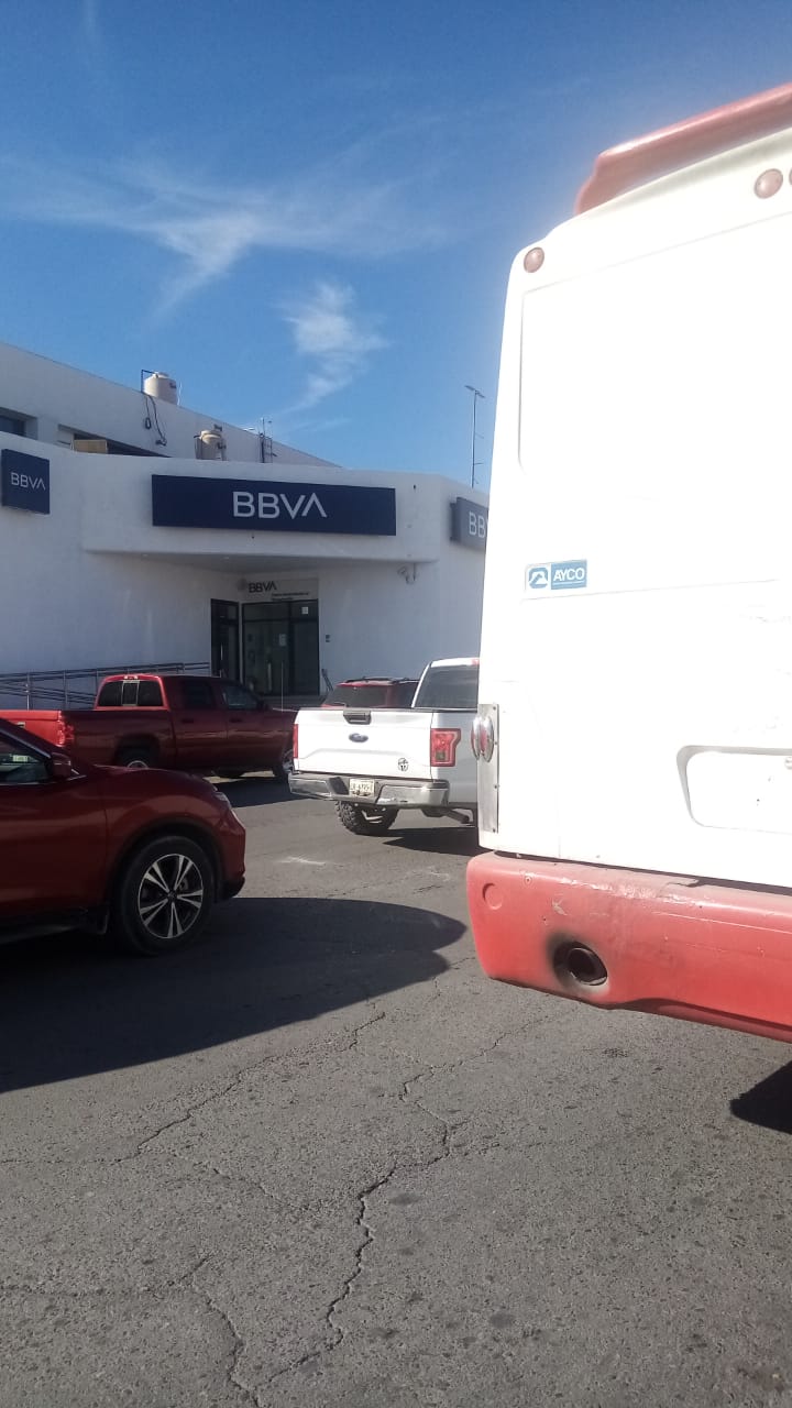 8801 fumigaciones y desinfecciones alamo