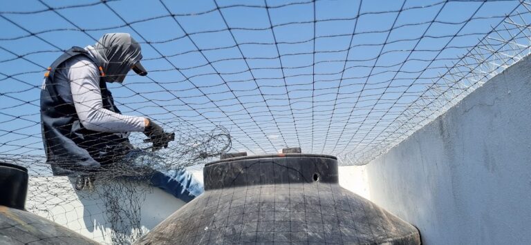 8820 pest control fumigaciones irapuato 768x355