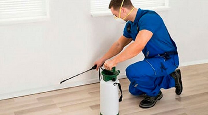 8824 fumigaciones carbajal